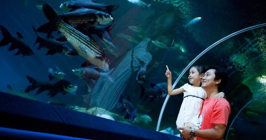 Pattaya: Underwater World Pattaya Aquarium Admission Ticket - Key points to know before you go
