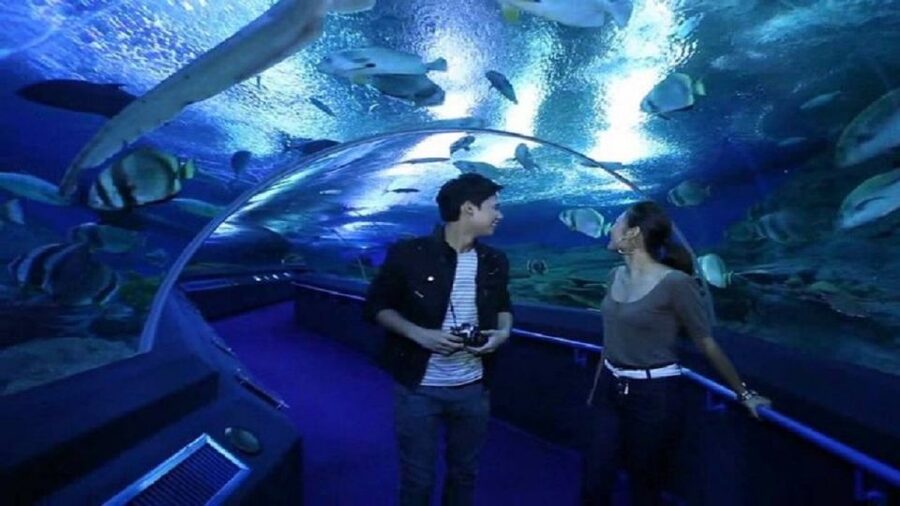 Pattaya: Underwater World Pattaya Aquarium Admission Ticket - Siam Giant Zone: a local touch
