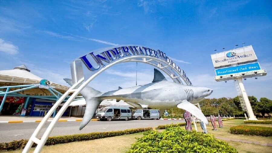 Pattaya: Underwater World Pattaya Aquarium Admission Ticket - Touch Pool Zone: the best choice for younger children