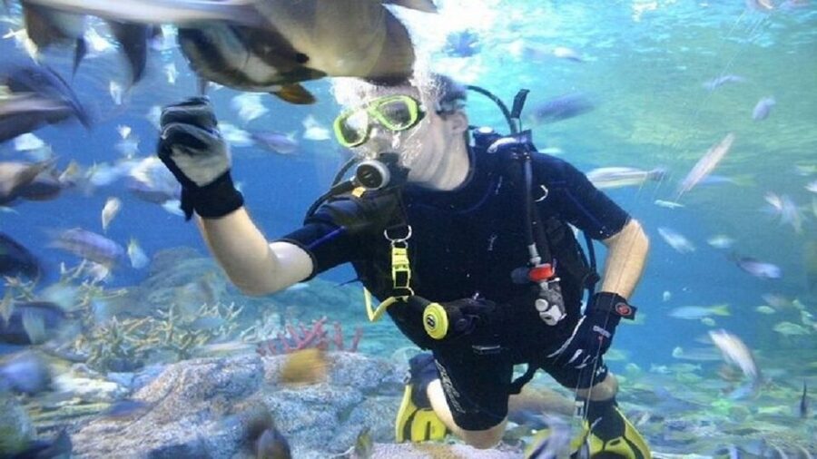 Pattaya: Underwater World Pattaya Aquarium Admission Ticket - Timing your visit around Pattaya’s day