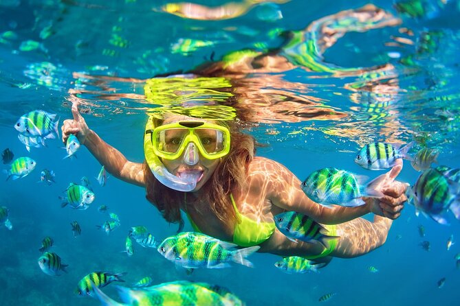 Phi Phi & Bamboo Islands Snorkeling Tour with Lunch by Speedboat - What this Phuket island tour is really like