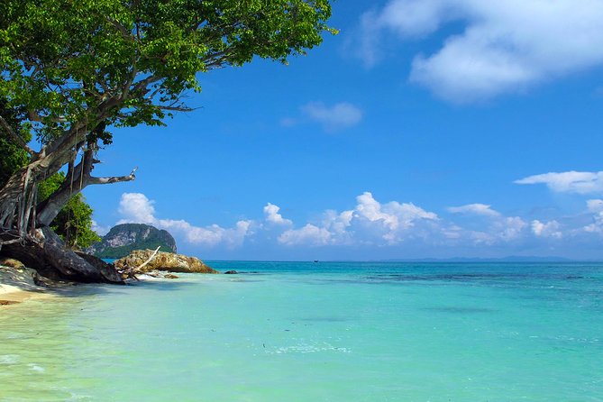 Phi Phi & Maya Bay Speedboat: All-Day Food & Choice of 3 Marinas - Phi Phi Don lunch and a busy island center