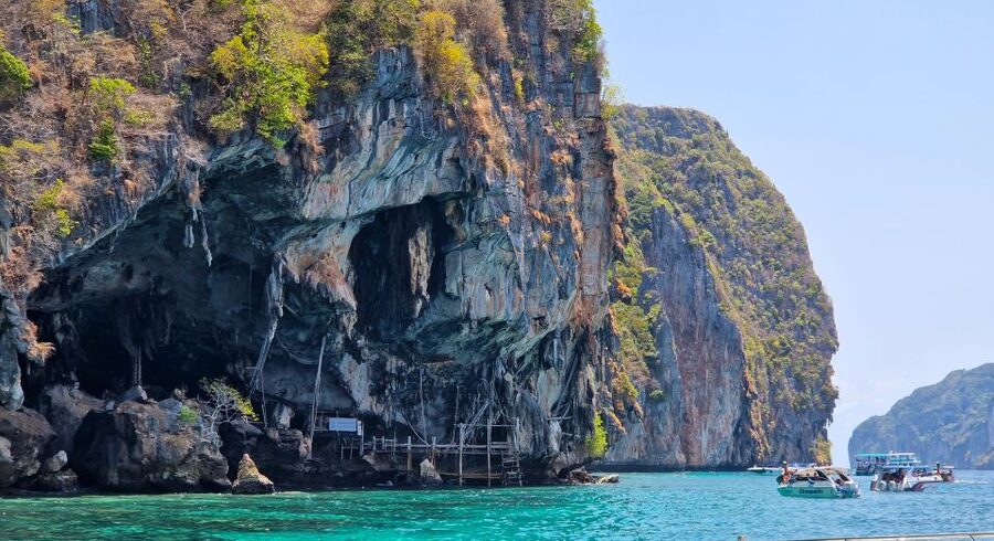 Phi Phi: Morning Speedboat Tour to Maya Bay with Snorkel - Monkey Bay with clear rules