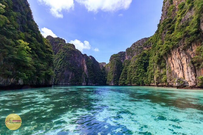 Phi Phi One Day Tour by Speed Boat from Ao Nang, Krabi - Monkey Beach: fun, but keep your distance