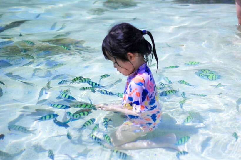 Phuket: 3 Khai Islands Relax & Snorkeling Half/Full Day Tour - Choosing between morning, afternoon, and full day
