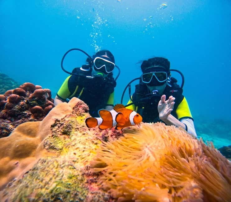 Phuket: 3 Khai Islands Speedboat Tour- Snorkeling & Relaxing - Why these three tiny islands work for a short Phuket outing
