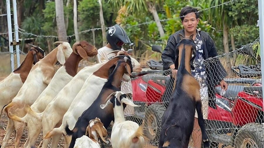 Phuket: ATV Ride with Secret Sea Viewpoints and Swing - Bamboo coffee, fruit, and a swing with a view