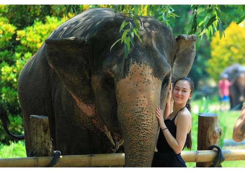 Phuket: Bamboo Rafting & ATV Ride (Optional) - Who should book this day trip