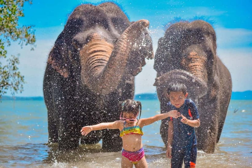 Phuket:Beach walk with elephants, rain & care. 2.5 hours - At a glance: what makes this Phuket elephant visit different