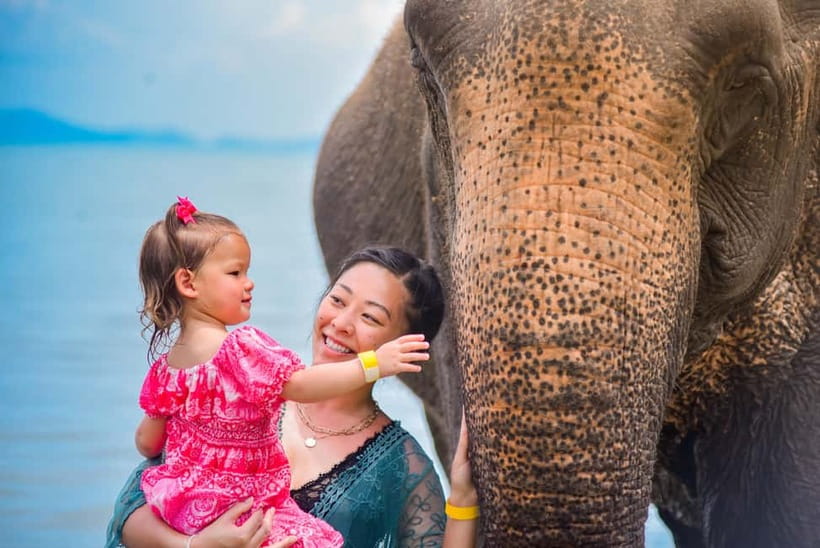 Phuket:Beach walk with elephants, rain & care. 2.5 hours - Arriving at Lily Elephant Camp in Yamu
