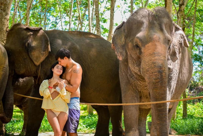 Phuket:Beach walk with elephants, rain & care. 2.5 hours - Feeding time: an easy way to begin