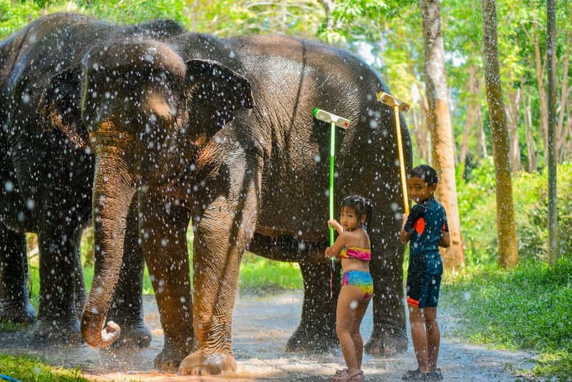 Phuket:Beach walk with elephants, rain & care. 2.5 hours - The 15 to 20 minute walk through nature
