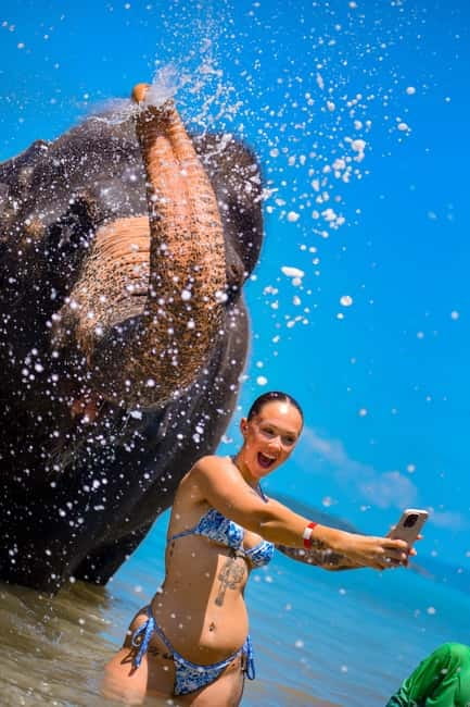 Phuket:Beach walk with elephants, rain & care. 2.5 hours - Rain showers, sea views, and the messy fun