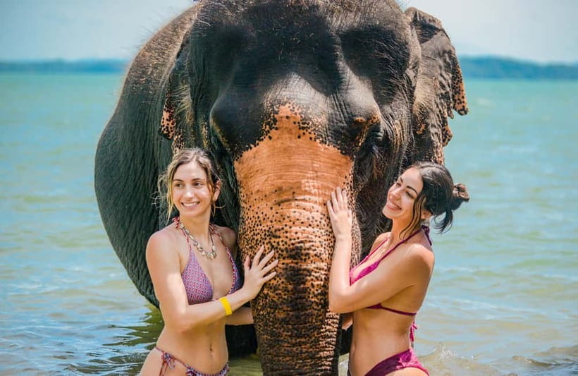 Phuket:Beach walk with elephants, rain & care. 2.5 hours - Meeting the elephants and learning the basics