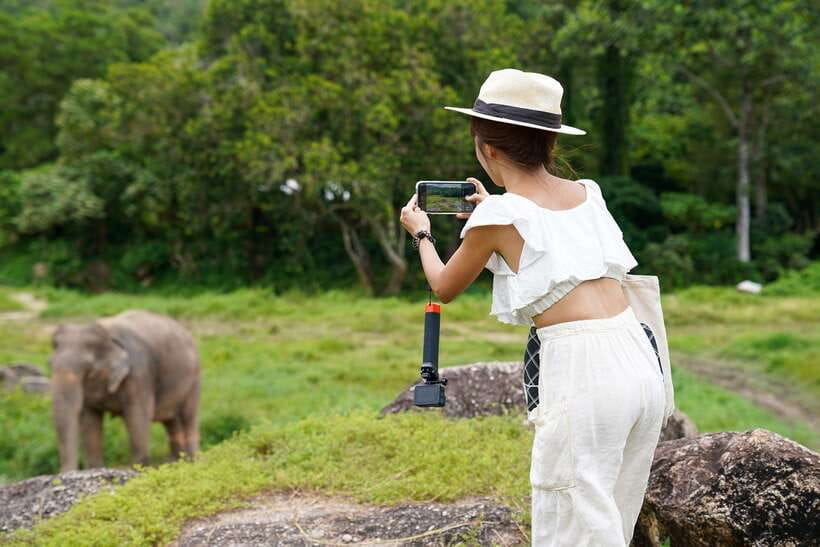 Phuket: Bukit Elephant Park Sanctuary Walk and Feed Tour - Who will enjoy this short sanctuary visit