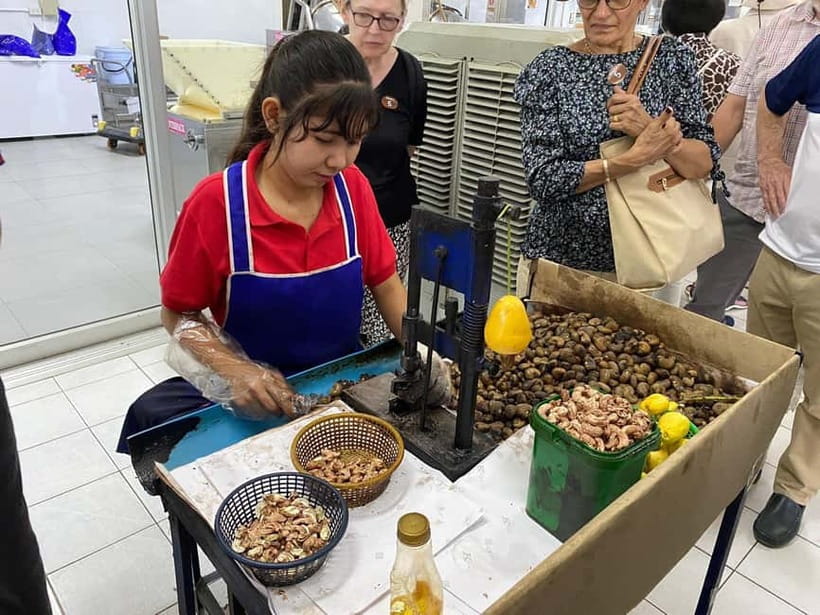 Phuket City Tour with Night Market Visit & Elephant Feeding - Why this Phuket day out works