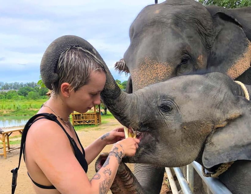 Phuket City Tour with Night Market Visit & Elephant Feeding - Wat Chalong in a short visit
