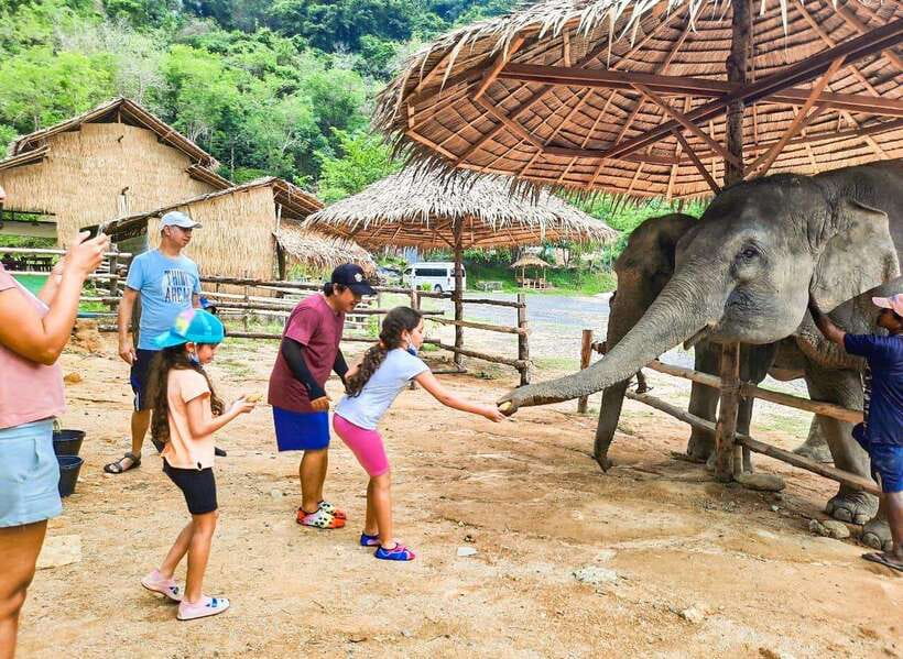 Phuket City Tour with Viewpoints, Temples & Elephant Feeding - Key points at a glance