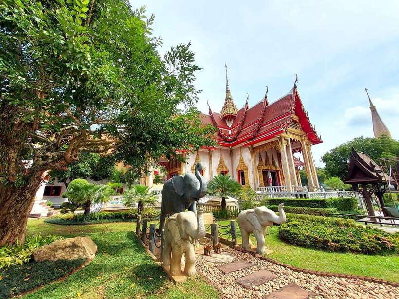 Phuket City Tour with Viewpoints, Temples & Elephant Feeding - Phuket Elephant Care: the day’s main event