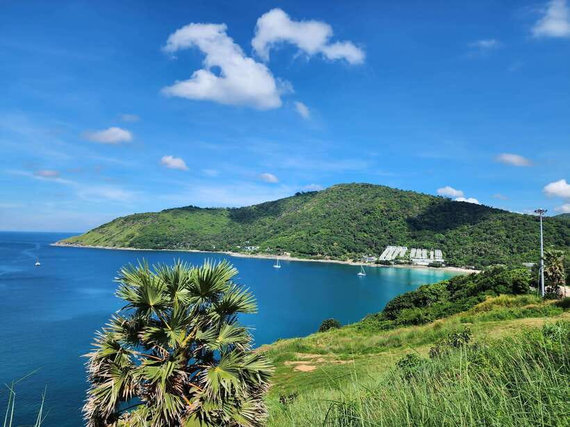 Phuket City Tour with Viewpoints, Temples & Elephant Feeding - Guides, transport, and how the day feels