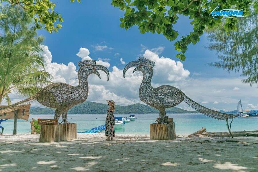 Phuket: Coral Island Day Tour by Speedboat - Who will enjoy this Coral Island trip most
