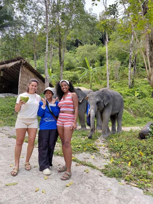 Phuket: Eco Guided Tour at Elephant Sanctuary - Making herbal vitamin balls by hand