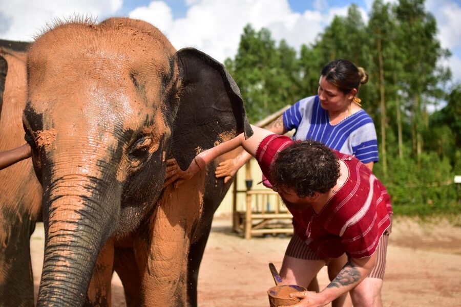 Phuket: Elephant Experience with Lunch or Dinner and Pickup - Who will enjoy this half-day outing
