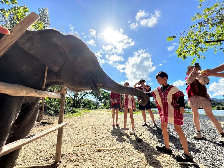 Phuket: Elephant Experience with Lunch or Dinner and Pickup - Coffee, cookies, and a change into mahout clothes