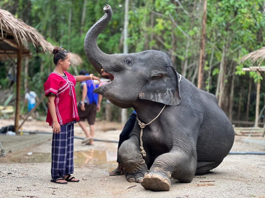 Phuket: Elephant Experience with Lunch or Dinner and Pickup - Thai food, drinks, and the last practical details