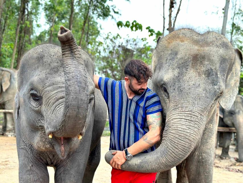 Phuket: Elephant Experience with Lunch or Dinner and Pickup - The drive from your hotel to Kerchor Elephant Family Park