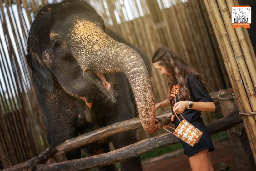 Phuket: Elephant Jungle Sanctuary Ethical Feeding Experience - Who should book this Phuket elephant experience?