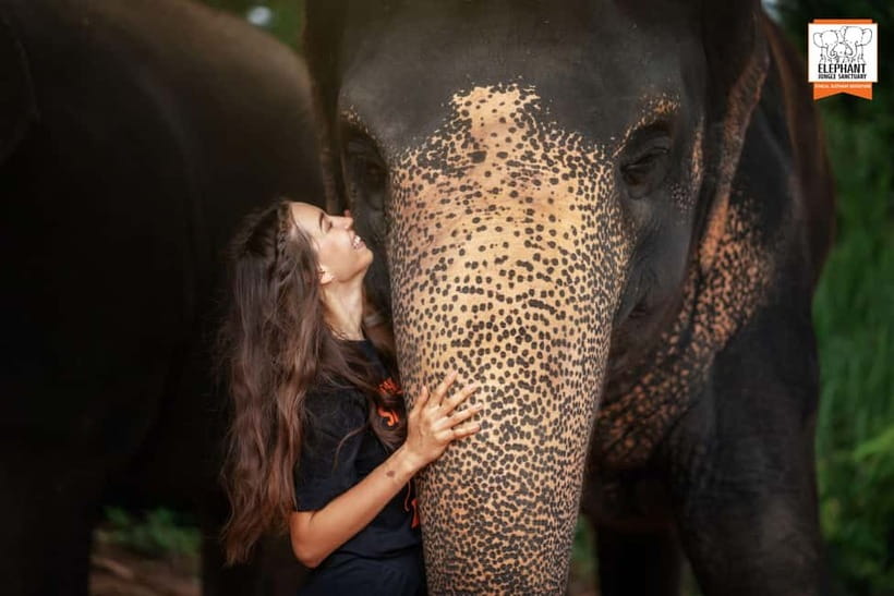 Phuket: Elephant Jungle Sanctuary Ethical Feeding Experience - FAQ