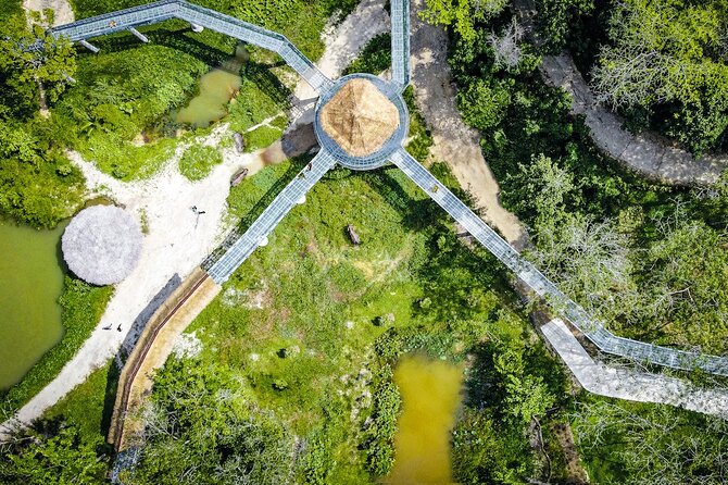 Phuket Elephant Sanctuary Canopy Walkway Tour - The ethical question: what you are really supporting