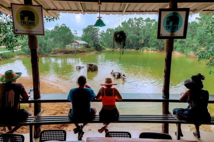 Phuket: Elephant Sanctuary Feed and Bathe Gentle Giants - FAQ