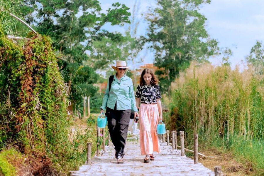 Phuket: Elephant Sanctuary Feed and Bathe Gentle Giants - Why the Ethical Focus Matters