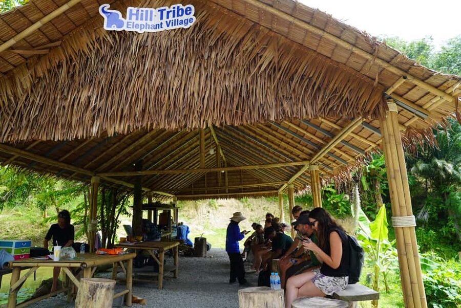 Phuket: Elephant Sanctuary Guided Tour with Hotel Transfers - Why the no-riding approach matters