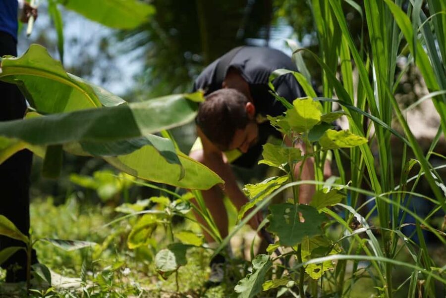 Phuket: Elephant Sanctuary Guided Tour with Hotel Transfers - Walking up the hill and choosing your time
