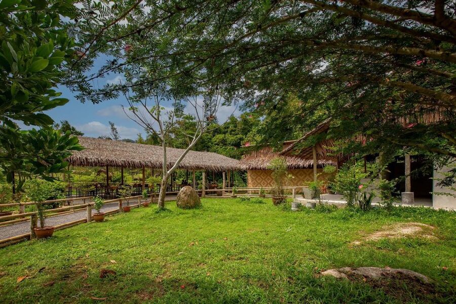Phuket: Elephant Sanctuary Guided Tour with Hotel Transfers - Hotel transfers and the Patong location