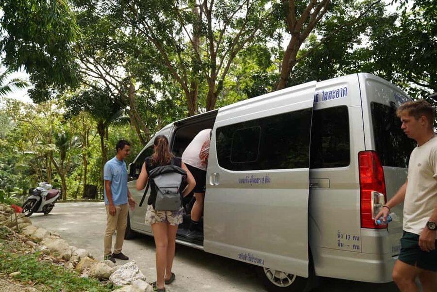 Phuket: Elephant Sanctuary Guided Tour with Hotel Transfers - What happens during the one-hour visit