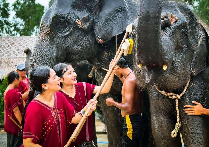 Phuket : Experience feeding and bathing elephants 1.5 Hrs. - Who should book this elephant experience?