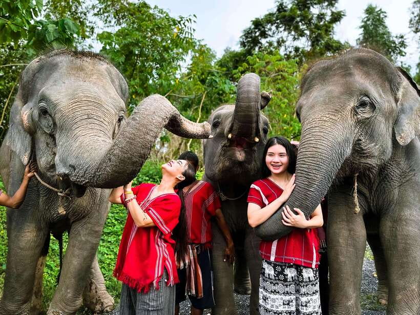 Phuket : Experience feeding and bathing elephants 1.5 Hrs. - Pickup from Phuket and the one-hour van ride