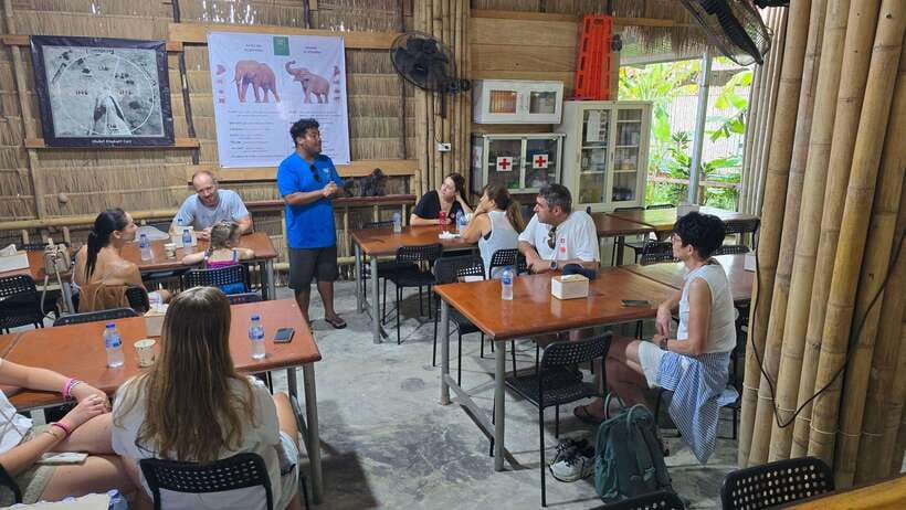 Phuket: Feeding Elephants at Phuket Elephant Care - Meeting the elephants in a Phuket forest