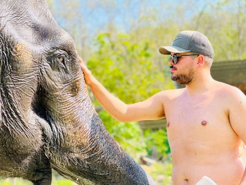 Phuket: Feeding Elephants at Phuket Elephant Care - Should you book Phuket Elephant Care?