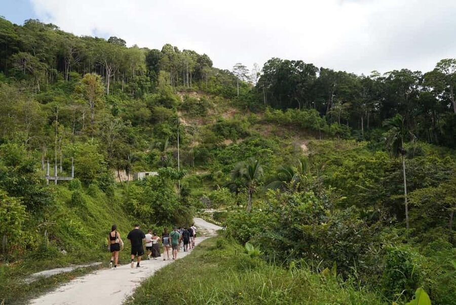 Phuket: Guide Tour to Patong Elephant Sanctuary - My call: book it if you want care, not spectacle