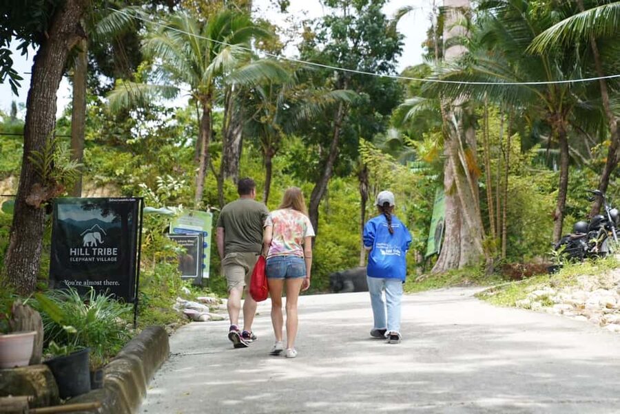 Phuket: Guide Tour to Patong Elephant Sanctuary - Contact, photos, and respectful boundaries