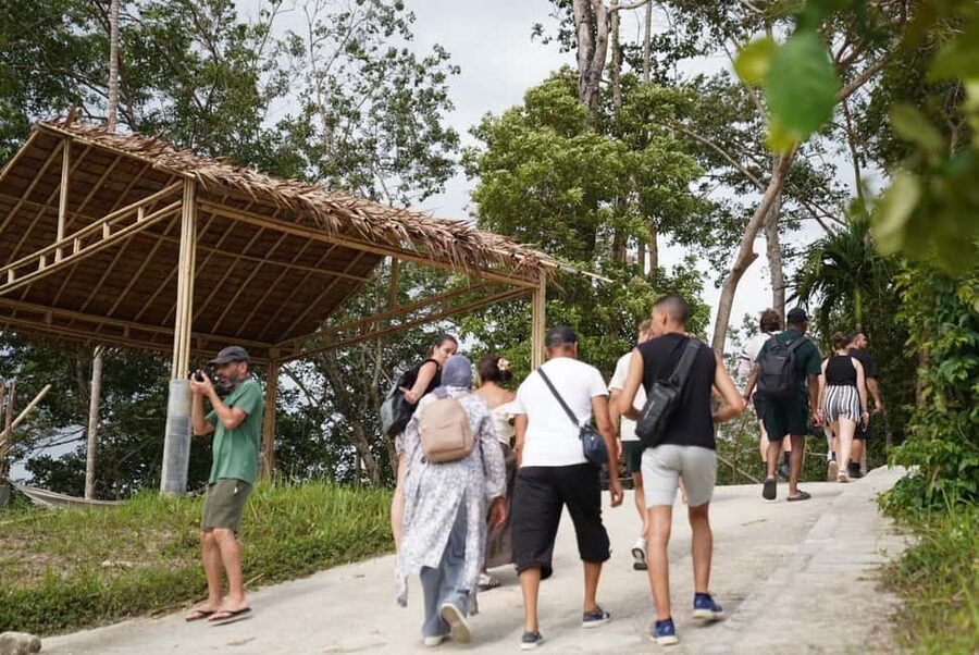 Phuket: Guided Tour to Elephant Sanctuary & Hotel Transfer - Walking, bathing, and watching natural behavior