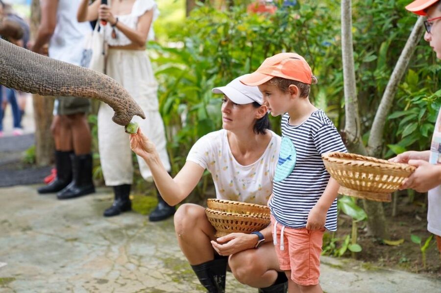 Phuket: Guided Tour to Elephant Sanctuary & Hotel Transfer - Is $38 good value from Phuket?