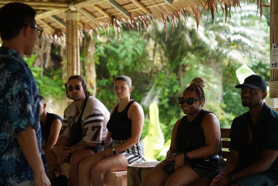Phuket : Guided Tour to Elephant Sanctuary with Transfers - Meeting rescued elephants at the hill tribe village