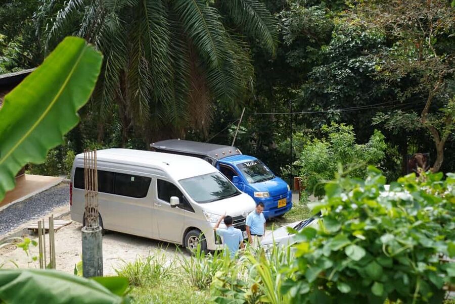 Phuket : Guided Tour to Elephant Sanctuary with Transfers - Cutting banana trees and gathering fresh grass