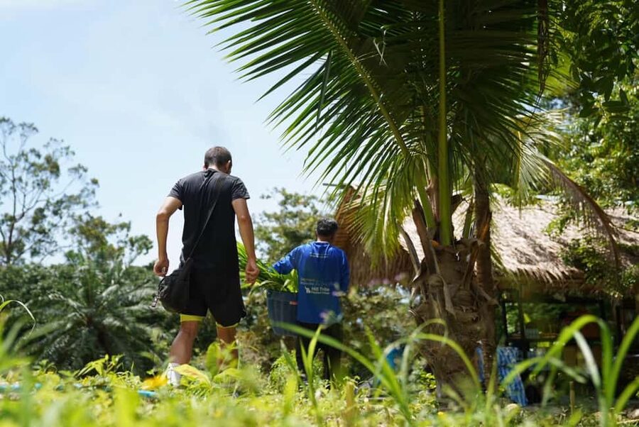 Phuket : Guided Tour to Elephant Sanctuary with Transfers - Choosing morning or afternoon